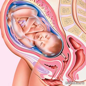 36 ������ ������������ ����