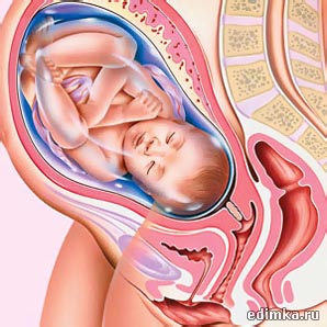 37 ������ ������������ ����