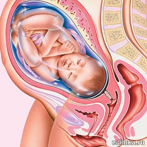 41 ������ ������������ ����