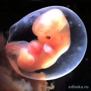 5 ������ ������������ ����