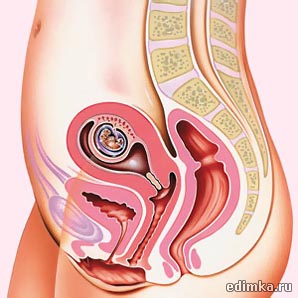 6 ������ ������������ ����