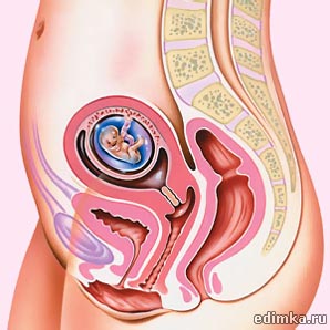 7 ������ ������������ ����