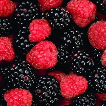 ������� ����� ����