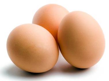 ������ ����� ����