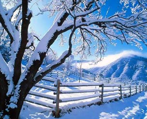 ������ ����� ����